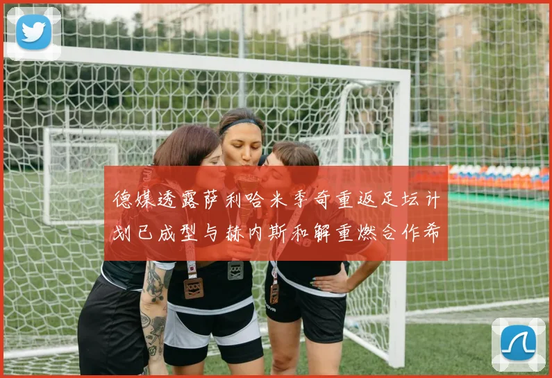 德媒透露萨利哈米季奇重返足坛计划已成型与赫内斯和解重燃合作希望